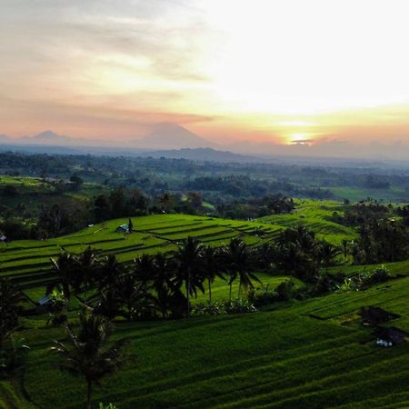 Bhuana Agung Villa And Restaurant Jatiluwih Luaran gambar