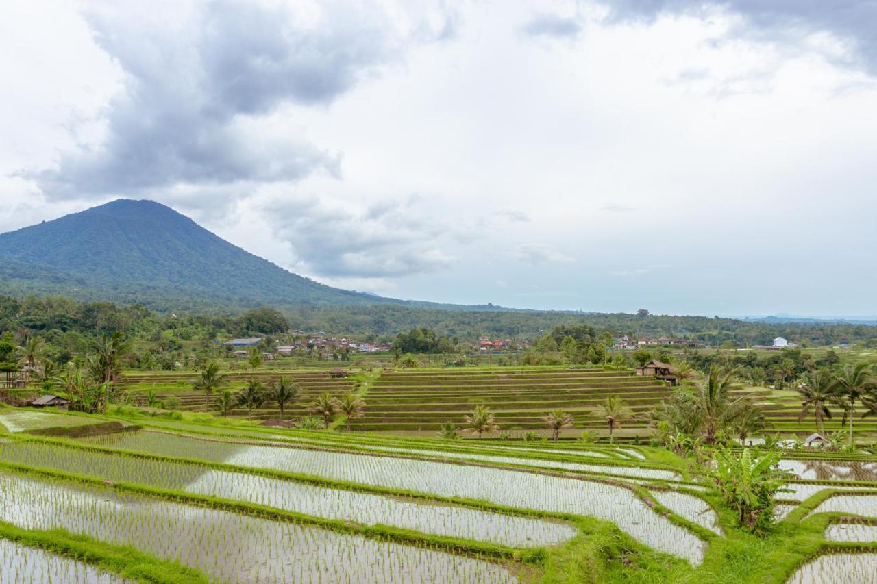 Bhuana Agung Villa And Restaurant Jatiluwih Luaran gambar