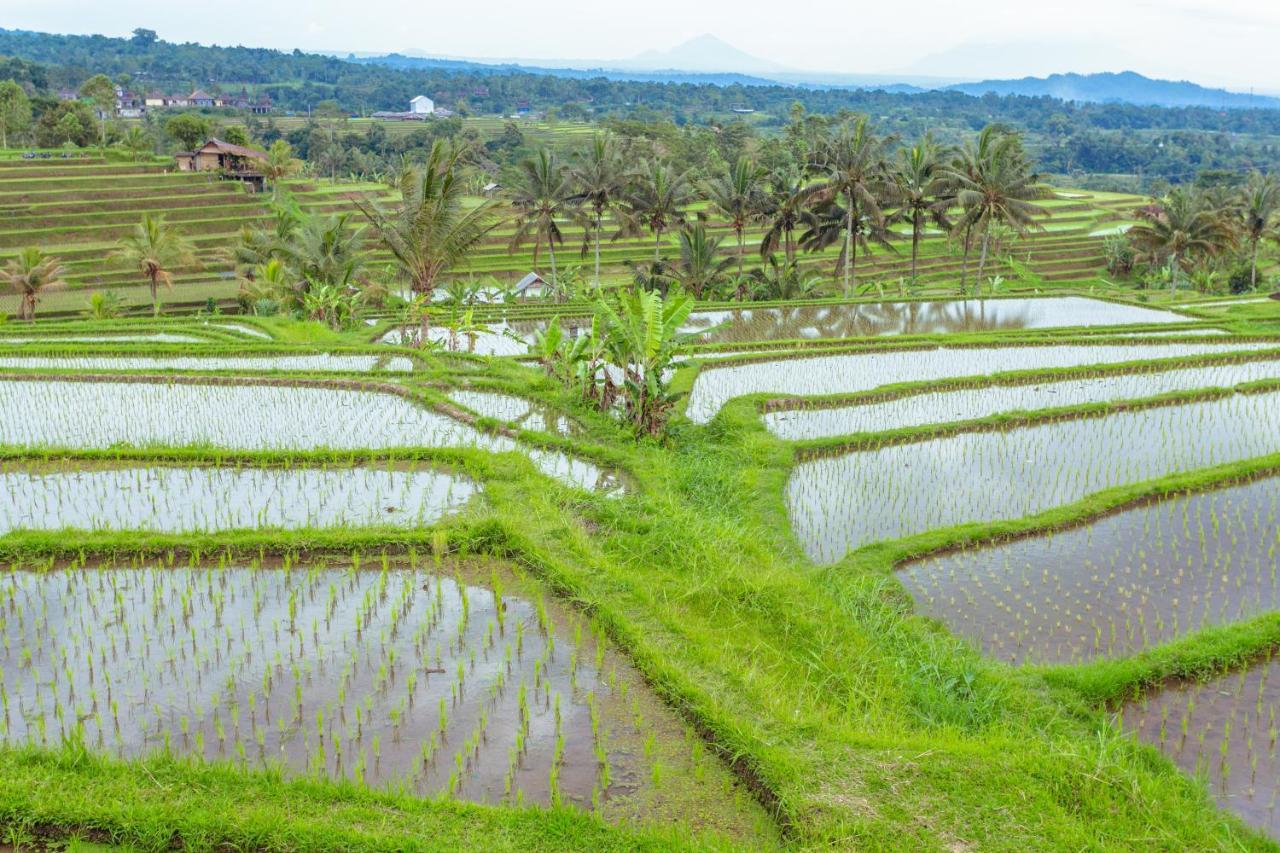 Bhuana Agung Villa And Restaurant Jatiluwih Luaran gambar