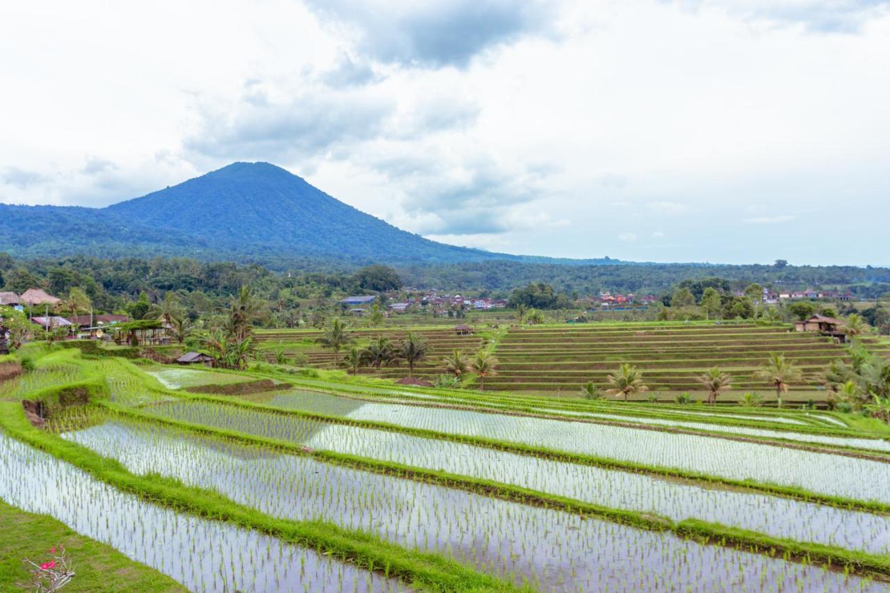 Bhuana Agung Villa And Restaurant Jatiluwih Luaran gambar