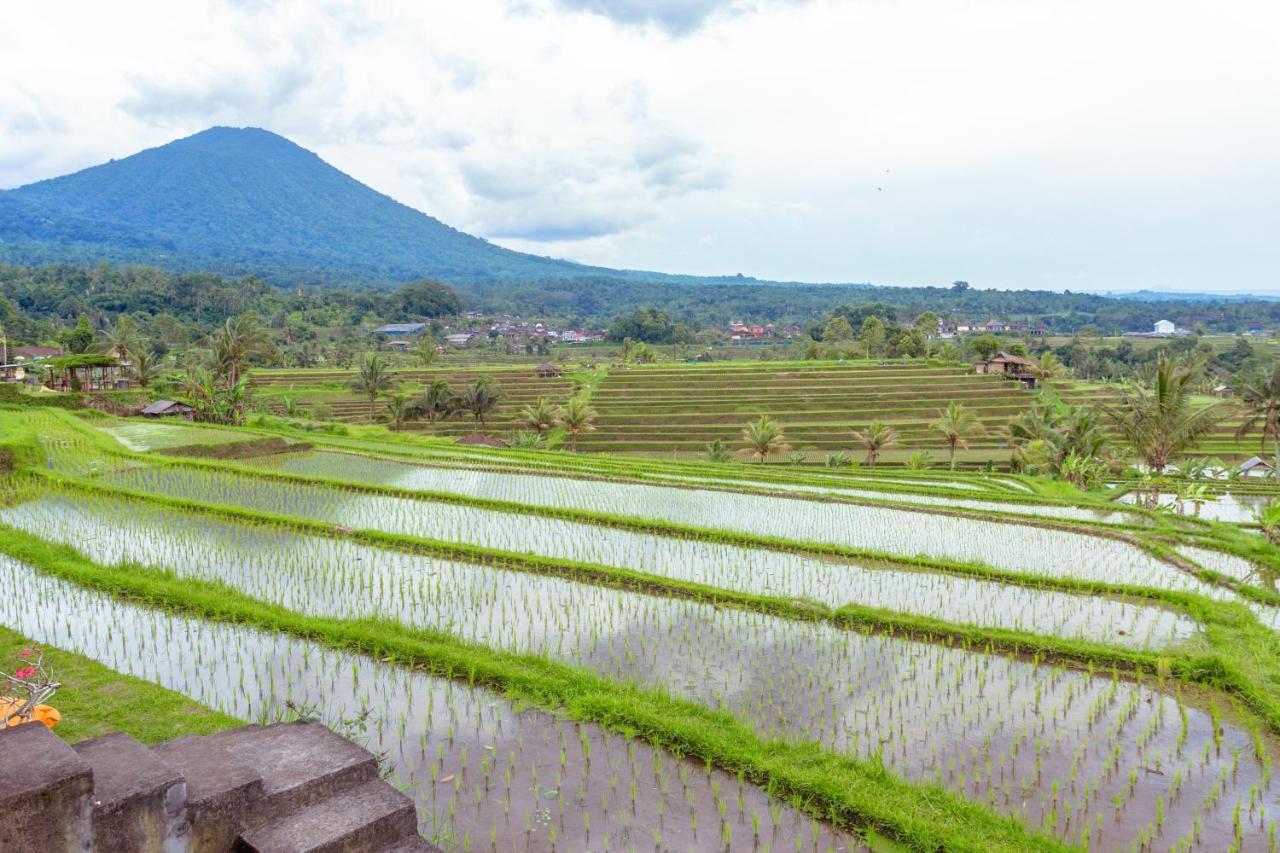 Bhuana Agung Villa And Restaurant Jatiluwih Luaran gambar