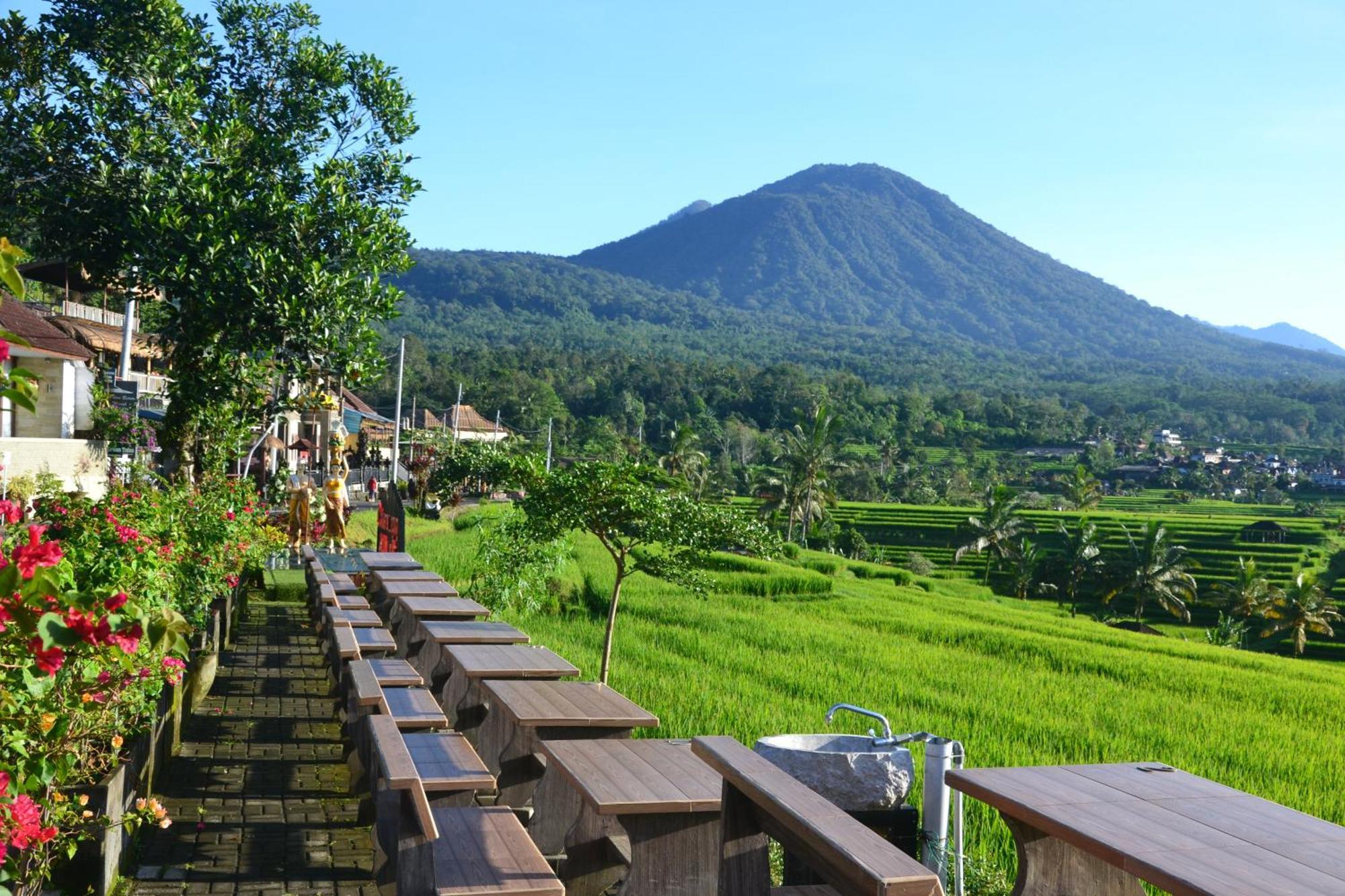 Bhuana Agung Villa And Restaurant Jatiluwih Luaran gambar