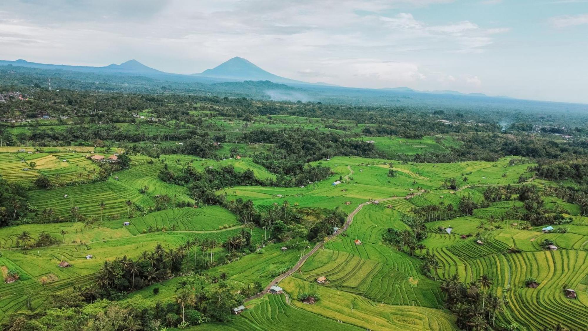 Bhuana Agung Villa And Restaurant Jatiluwih Luaran gambar