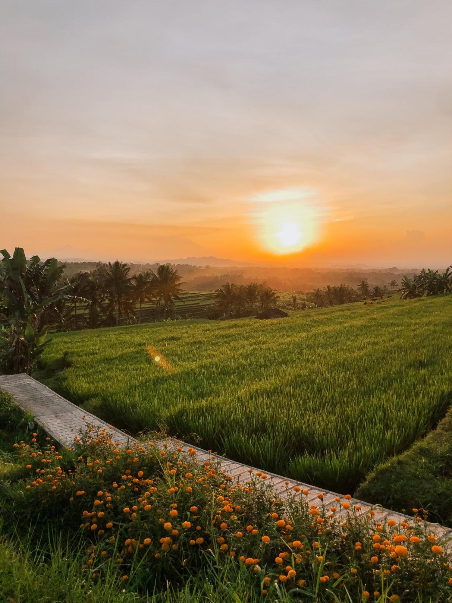 Bhuana Agung Villa And Restaurant Jatiluwih Luaran gambar