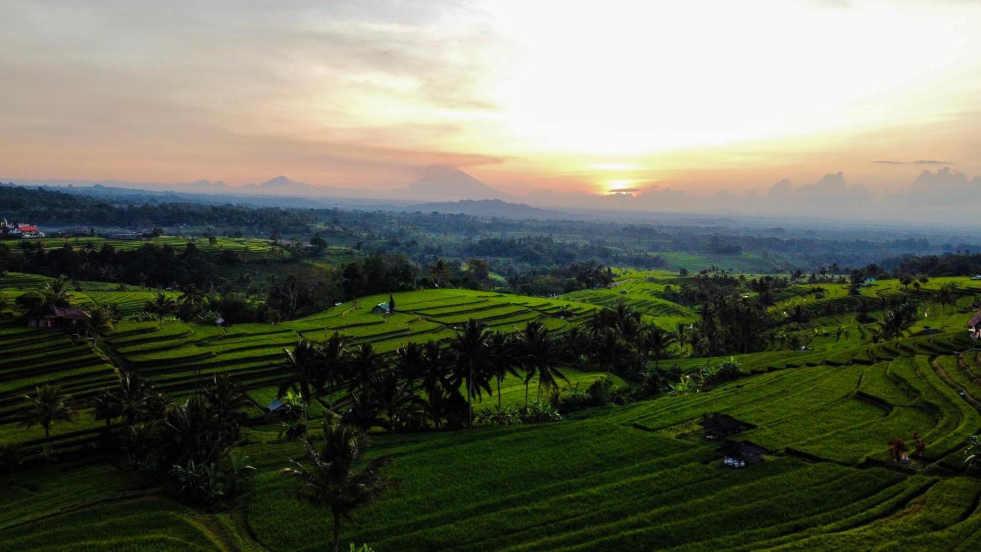 Bhuana Agung Villa And Restaurant Jatiluwih Luaran gambar