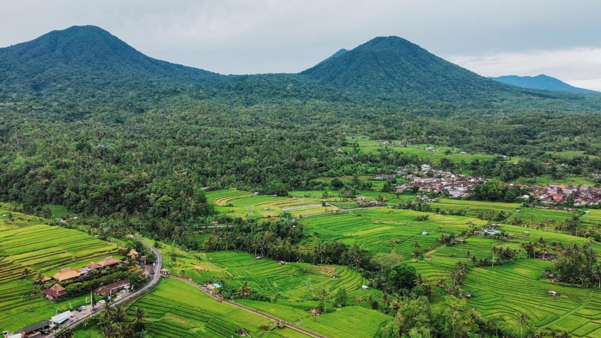 Bhuana Agung Villa And Restaurant Jatiluwih Luaran gambar