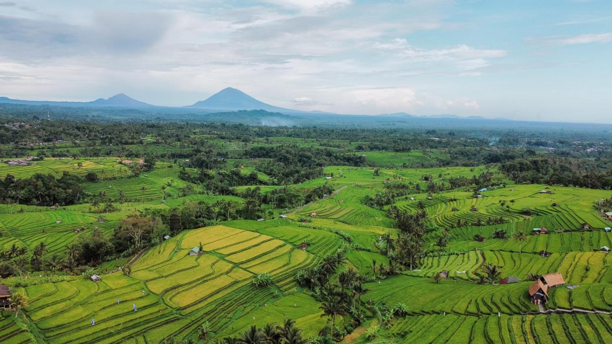 Bhuana Agung Villa And Restaurant Jatiluwih Luaran gambar